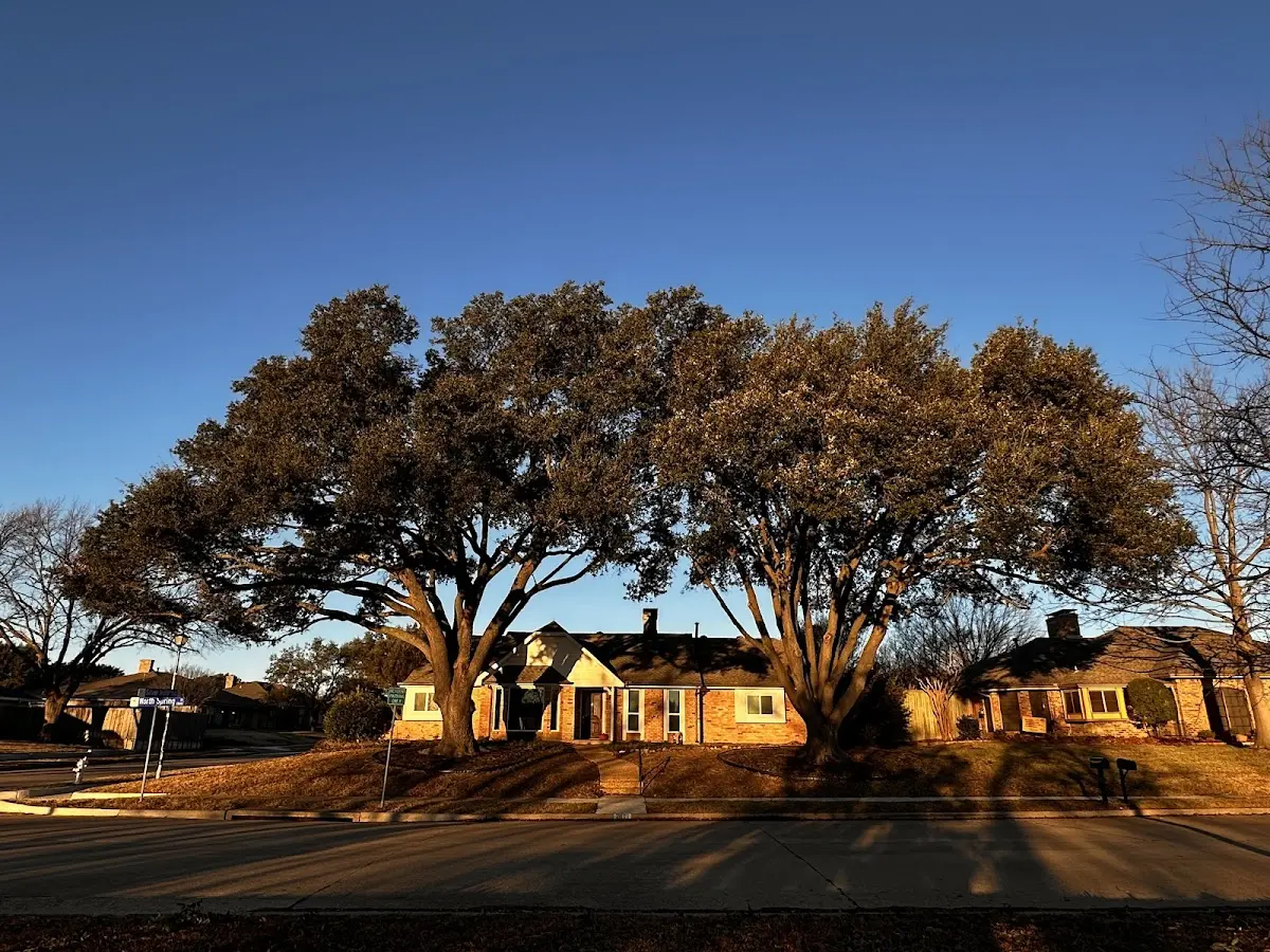 Established residential canopy tree shading a home in Genesee Depot