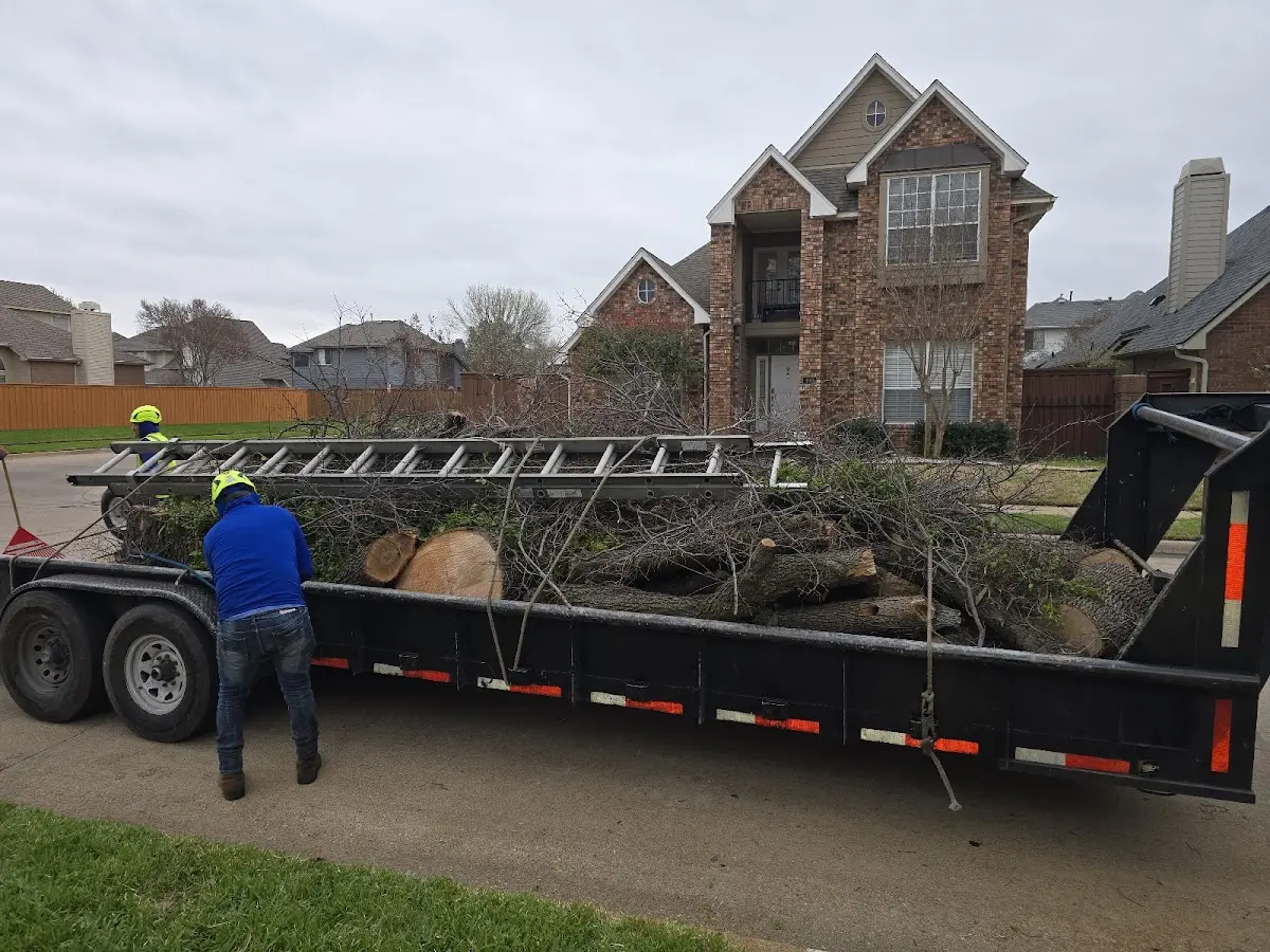 Expert Tree Pest Control with proper safety equipment in Genesee Depot